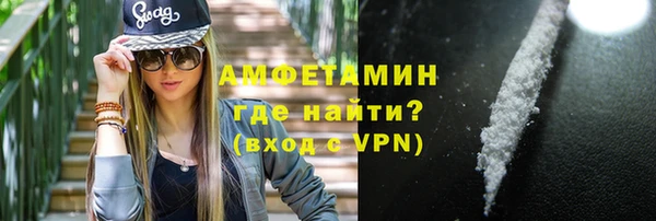 индика Алзамай