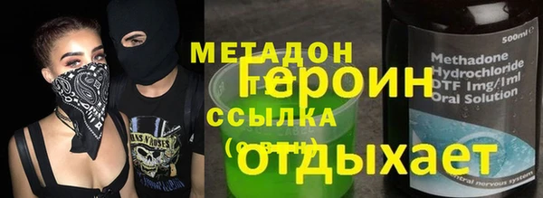 индика Алзамай