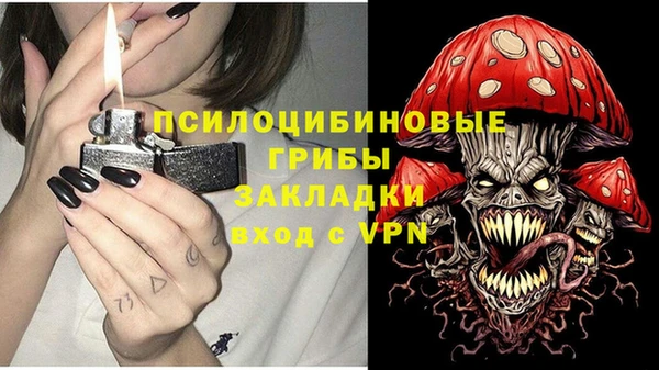 индика Алзамай