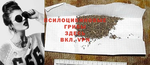 не бодяженный Алексин