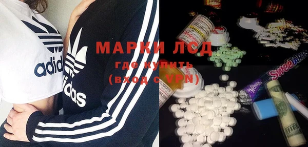 индика Алзамай