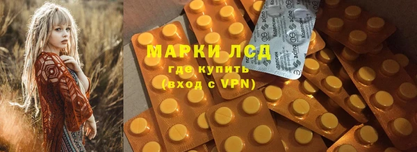 индика Алзамай