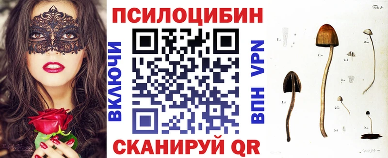 darknet официальный сайт  Бокситогорск  Псилоцибиновые грибы мухоморы 