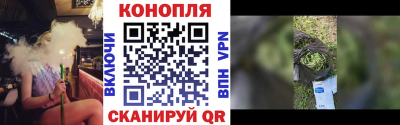 Марихуана Amnesia Бокситогорск